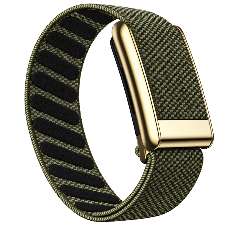 Luxe Knit — Olive Gold